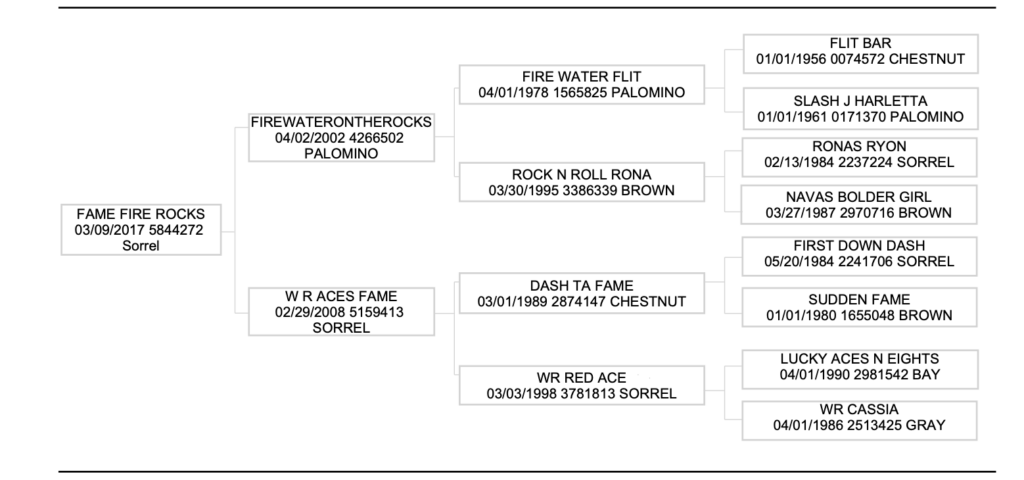 fame fire rocks pedigree