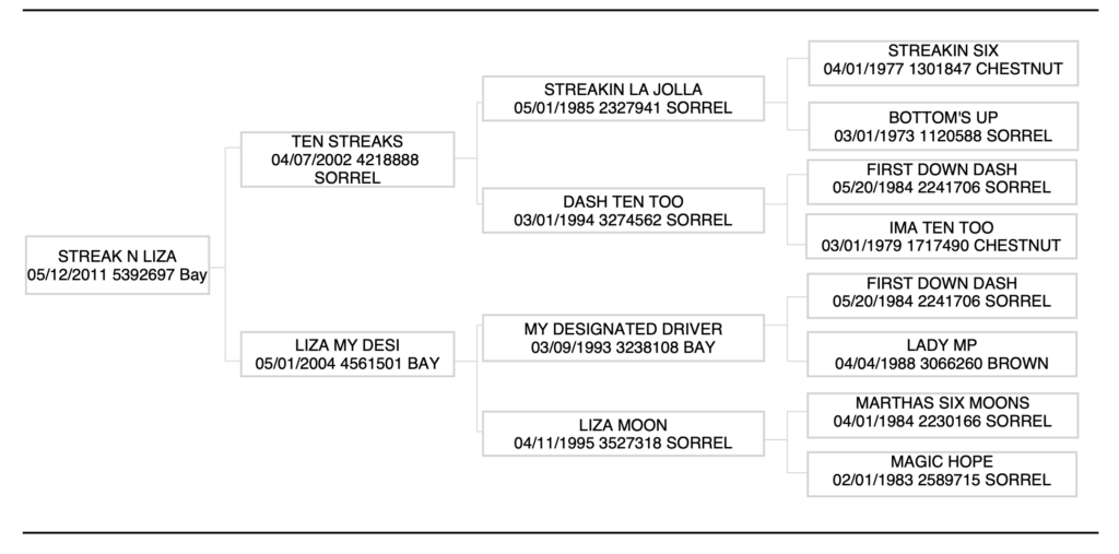 Three-generation pedigree chart for Streak N Liza, a 2011 bay, listing sires and dams with foaling dates, registration numbers and colors