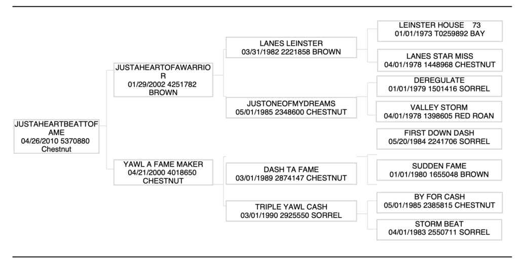 justaheartbeattofame pedigree