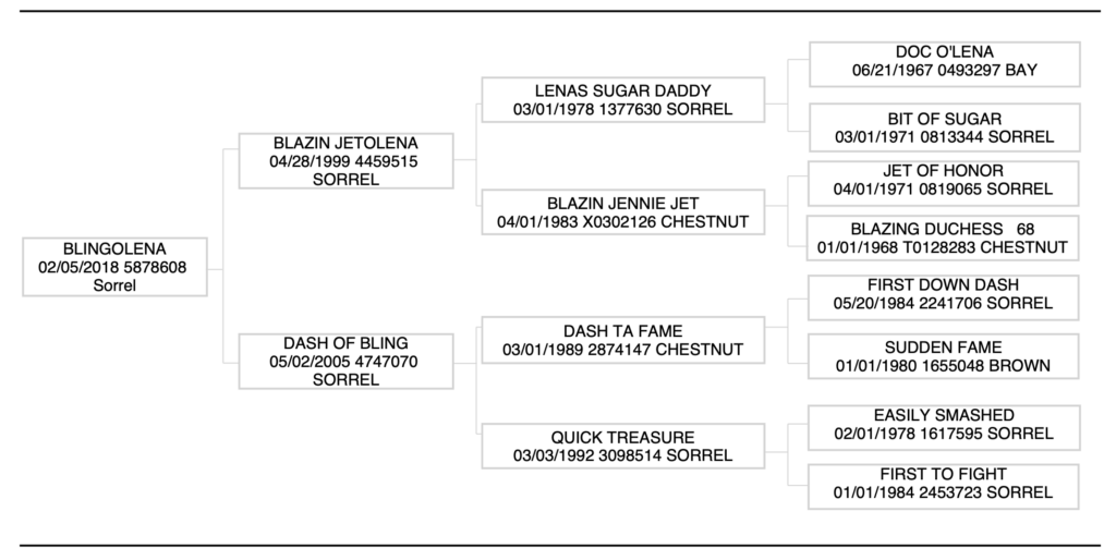 Five-generation pedigree chart for the 2018 sorrel Blingolena, tracing back through Blazin Jetolena and Dash Ta Fame