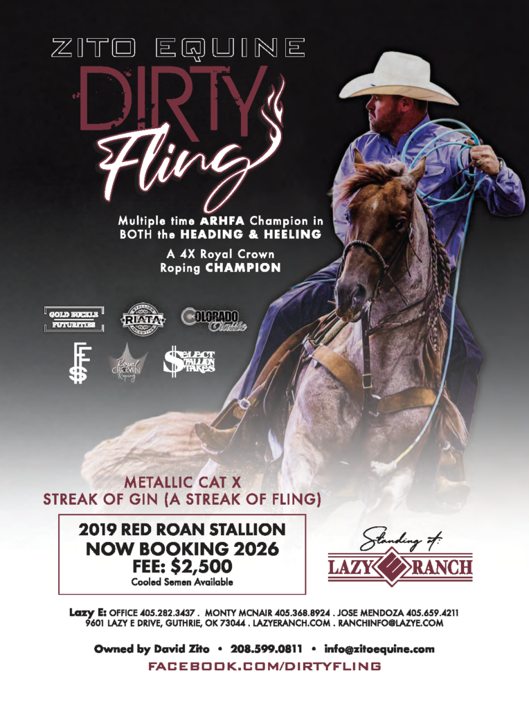 Stallion breeding ad for Dirty Fling, with a roper swinging a loop aboard a red roan horse mid-run