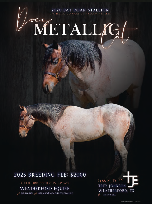 2020 Bay Roan Stallion "Does Metallica" breeding advertisement featuring two horse profiles against black background