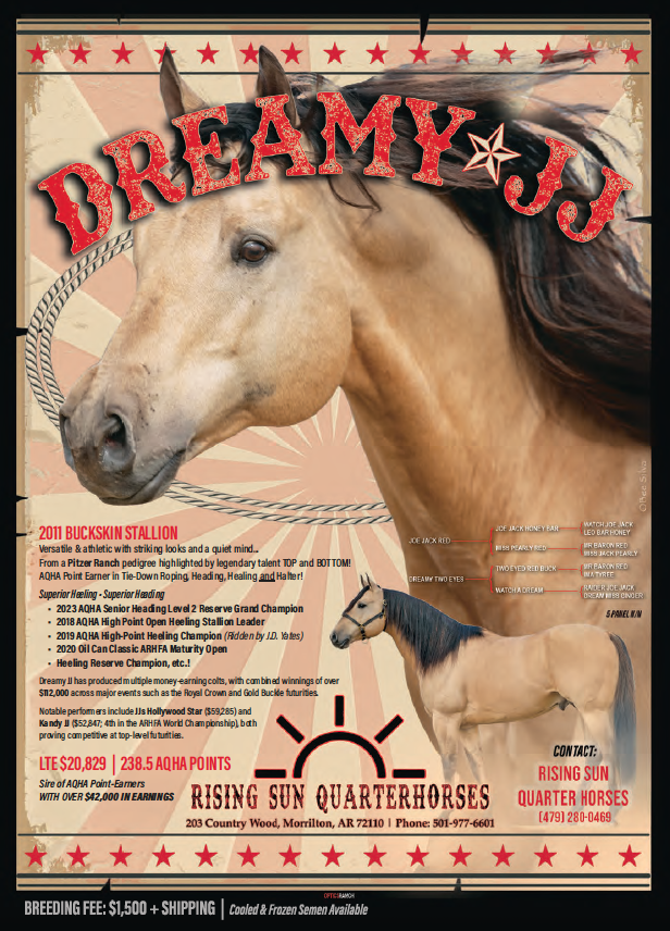 Breeding ad for buckskin stallion Dreamy JJ from Rising Sun Quarter Horses, showing head shot, pedigree and show record