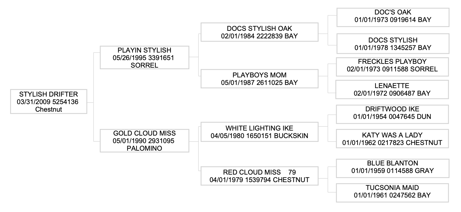 Three-generation pedigree chart for Stylish Drifter, a 2009 chestnut, tracing sires and dams back to Doc's Oak and Driftwood Ike