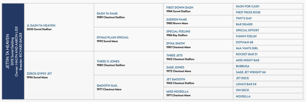 Jettin Ta Heaven horse pedigree