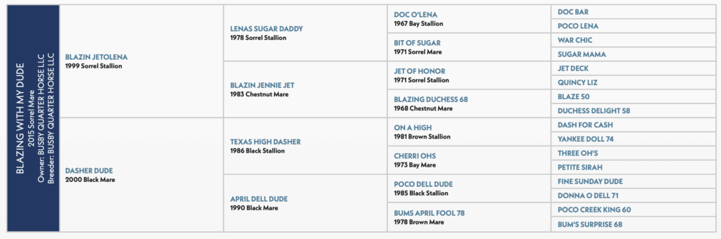 Five-generation pedigree chart for Blazing With My Dude, a 2015 sorrel mare by Blazin Jetolena out of Dasher Dude
