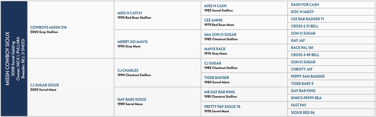 Five-generation pedigree chart for Missn Cowboy Sioux, a 2008 sorrel gelding, listing sires and dams by name, year and color