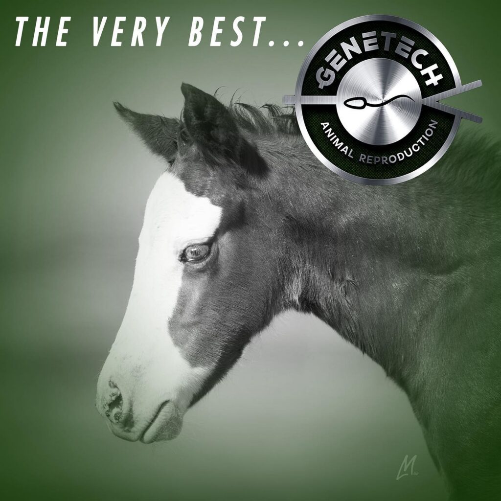 Genetech logo and foal