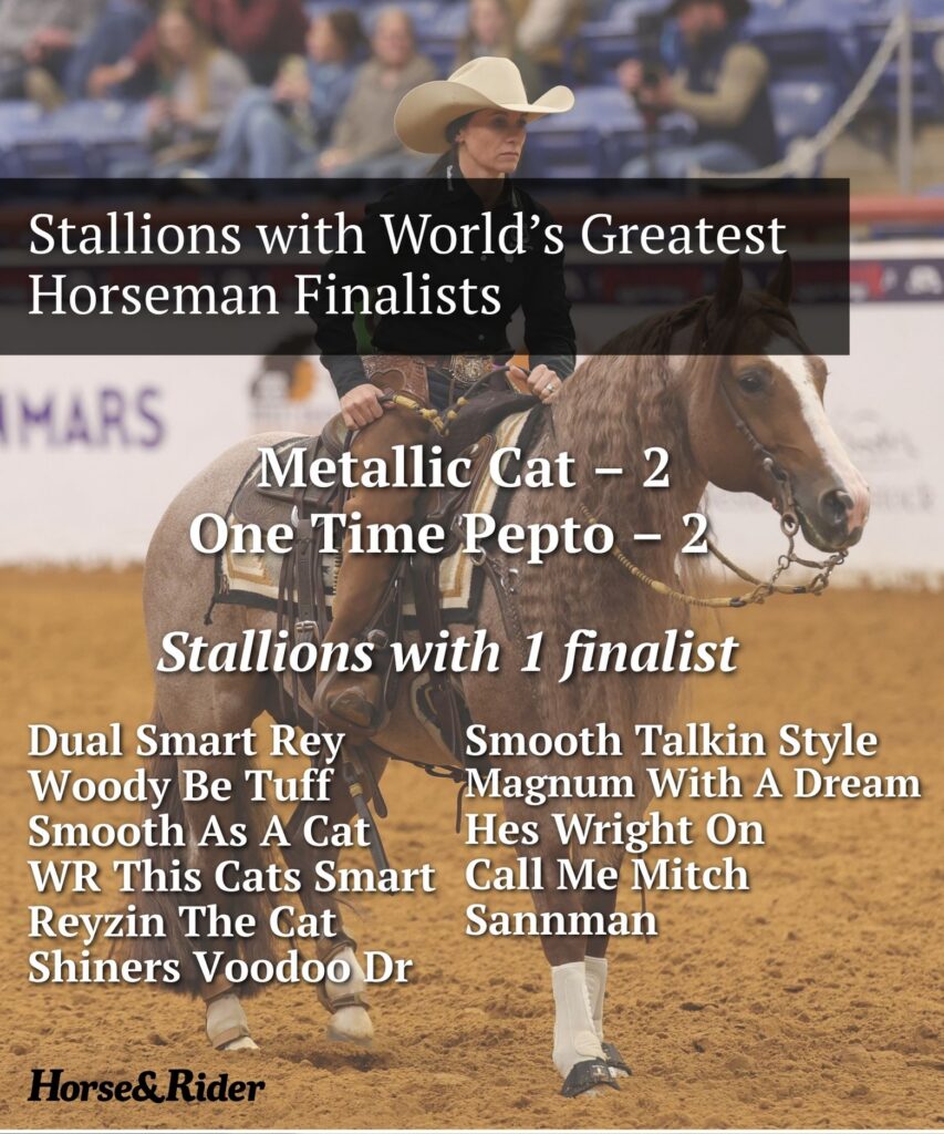 Graphic listing stallions with World's Greatest Horseman finalists over a photo of a rider on a red roan horse in the arena