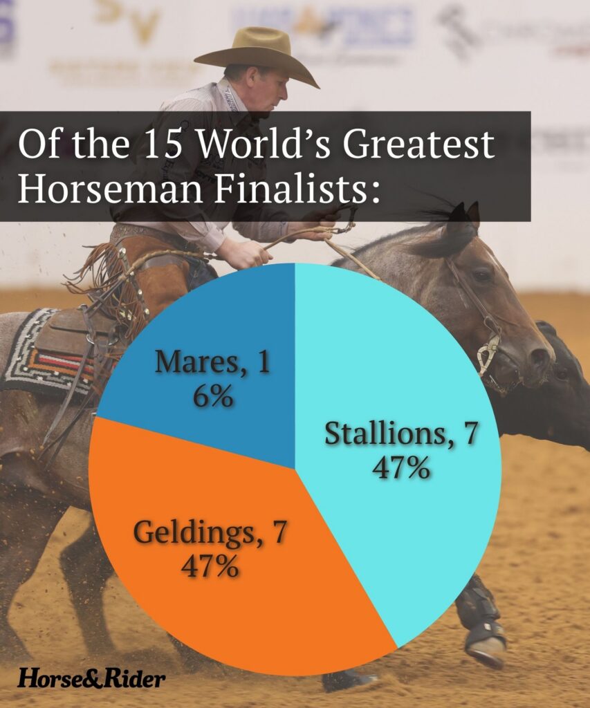 Pie chart over a photo of a cowboy working cattle, showing 15 World's Greatest Horseman finalists: 7 stallions, 7 geldings, 1 mare