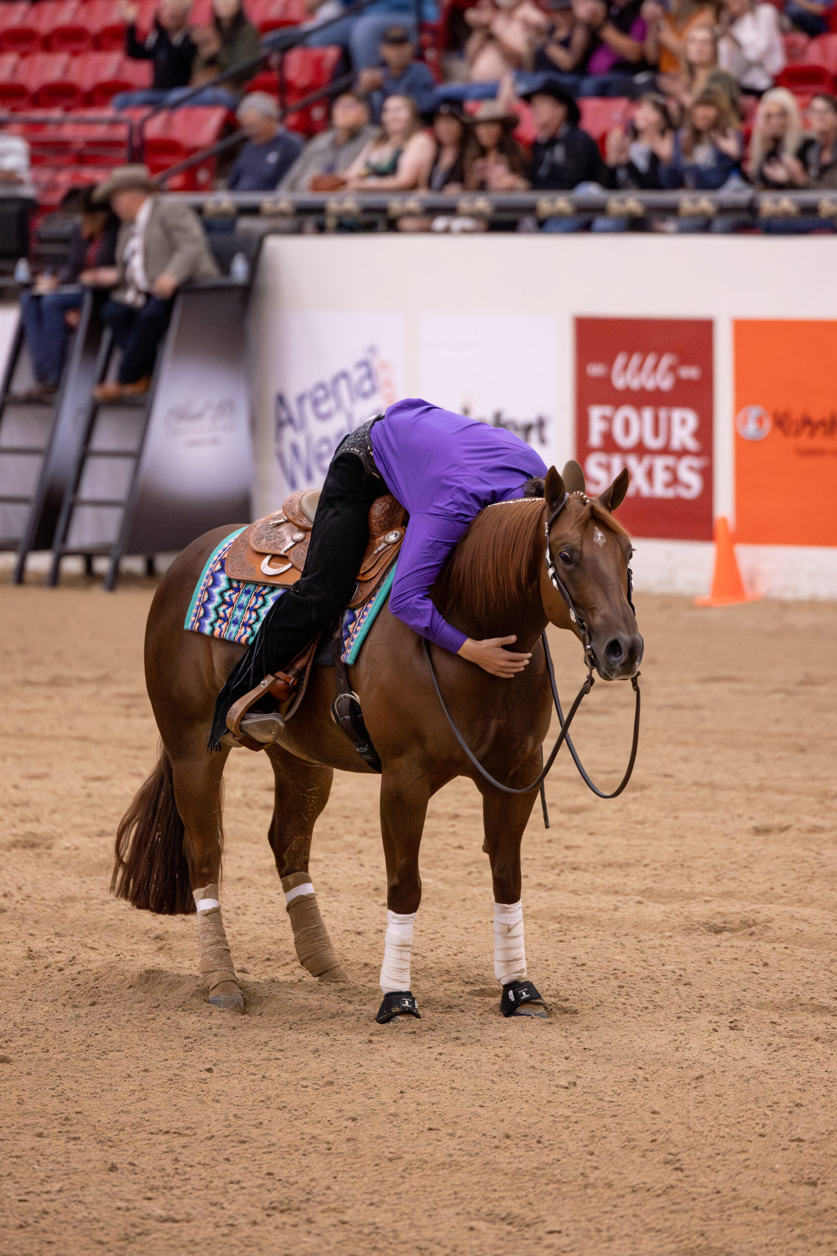 Rider in a purple shirt leans forward to hug her sorrel horse's neck in the arena after a run