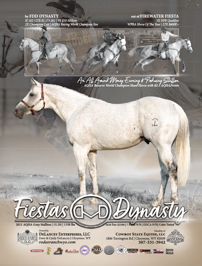 Breeding advertisement for gray AQHA stallion Fiestas Dynasty, shown standing in profile above roping action photos