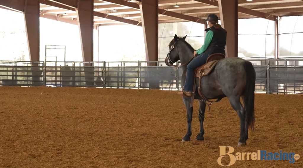 Jordan Briggs riding a horse standing square in a covered arena.