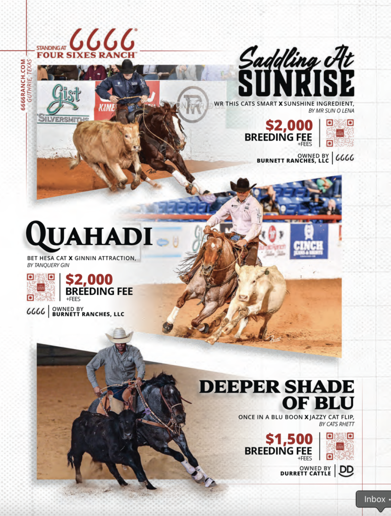 Three rope horse stallions standing at Four Sixes Ranch: Saddling At Sunrise, Quahadi, and Deeper Shade of Blu, with breeding fees and pedigree information displayed