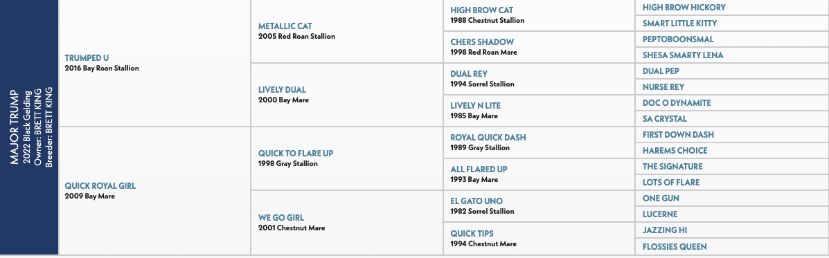 Five-generation pedigree chart for Major Trump, a 2022 black gelding by Trumped U out of Quick Royal Girl, tracing to Metallic Cat and High Brow Cat