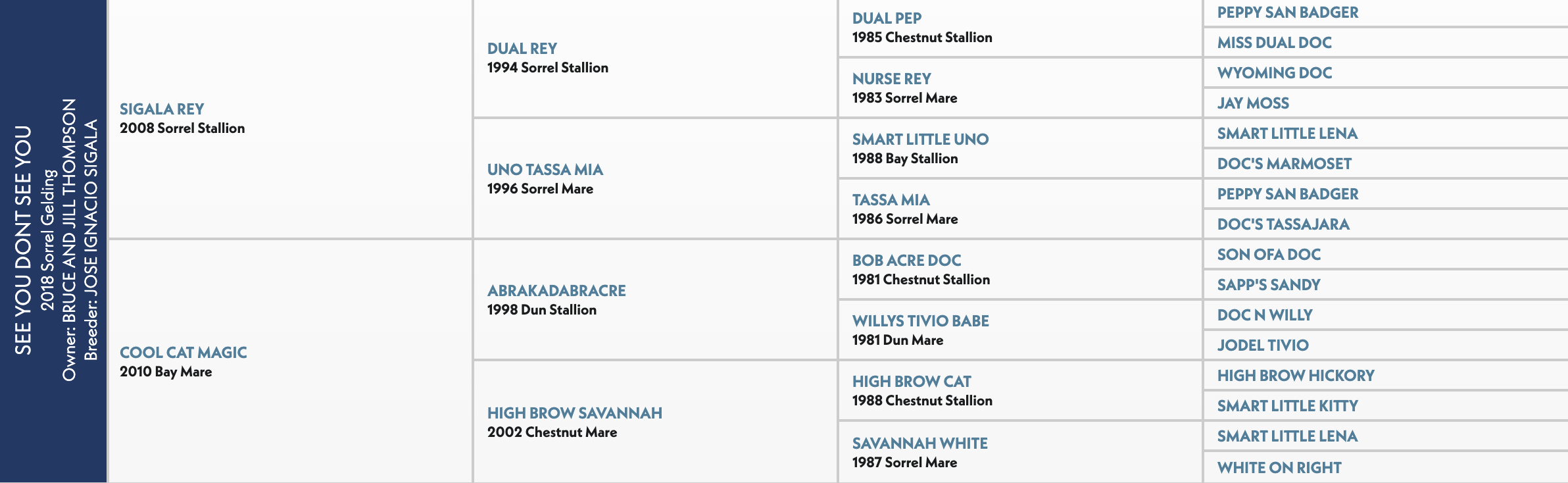 Five-generation pedigree chart for See You Dont See You, a 2018 sorrel gelding sired by Sigala Rey out of Cool Cat Magic