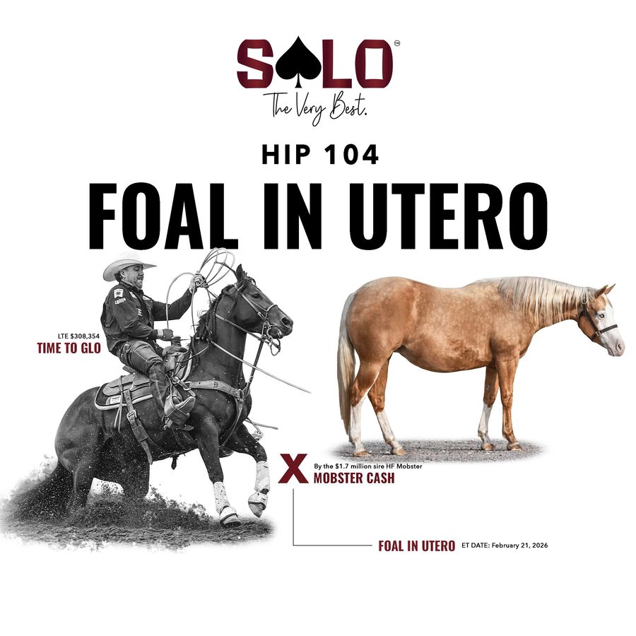 Solo sale graphic for Hip 104 foal in utero, showing a roper on a black horse and a palomino broodmare