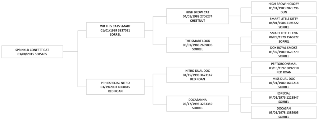 Three-generation pedigree chart for Sprinkld Confetticat, tracing sires and dams back to High Brow Cat and Peptoboonsmal