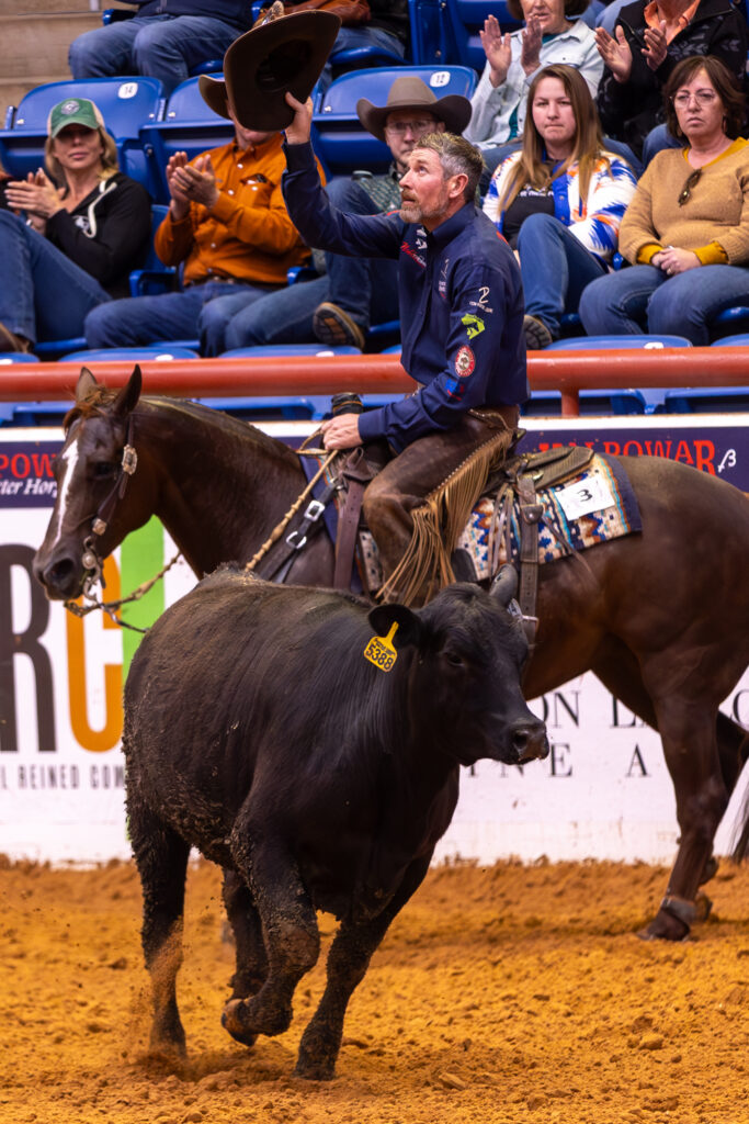 Cowboy in navy shirt and chaps raises his hat in celebration aboard a dark horse as a black steer trots past