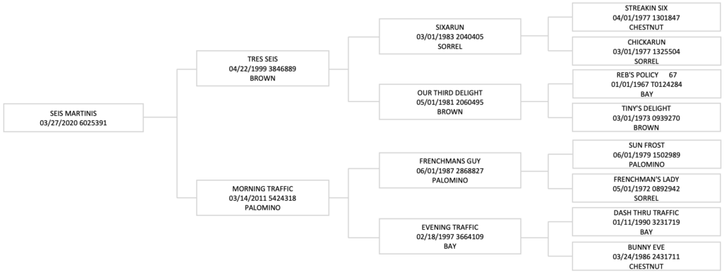 Three-generation pedigree chart for Seis Martinis, tracing sire Tres Seis and dam Morning Traffic through grandparents and great-grandparents