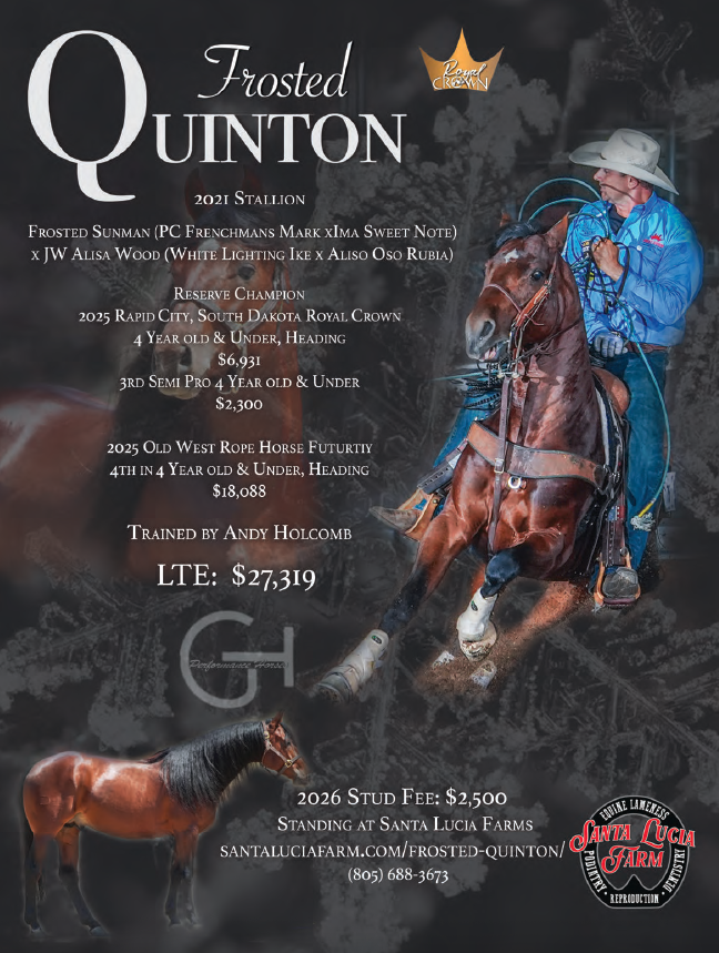 Frosted Quinton, a 2021 stallion, pictured with a roper in blue shirt on horseback during a roping event