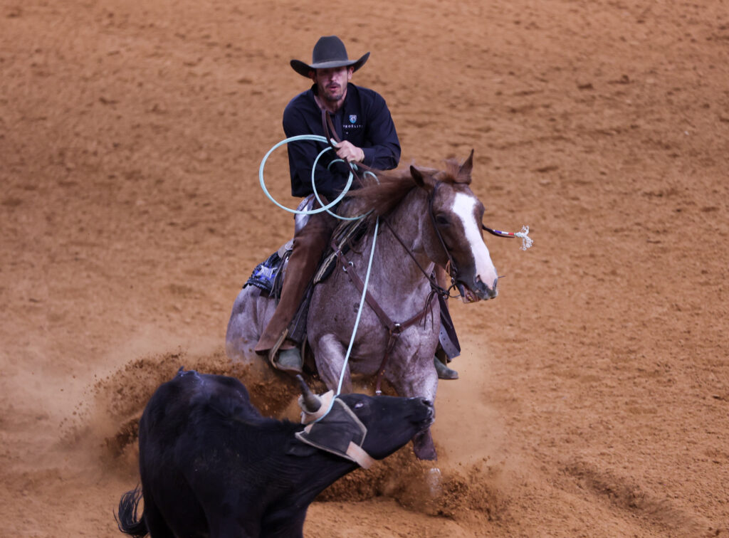 Cowboy in black hat swings his rope aboard a roan horse as a black steer runs through the dirt below
