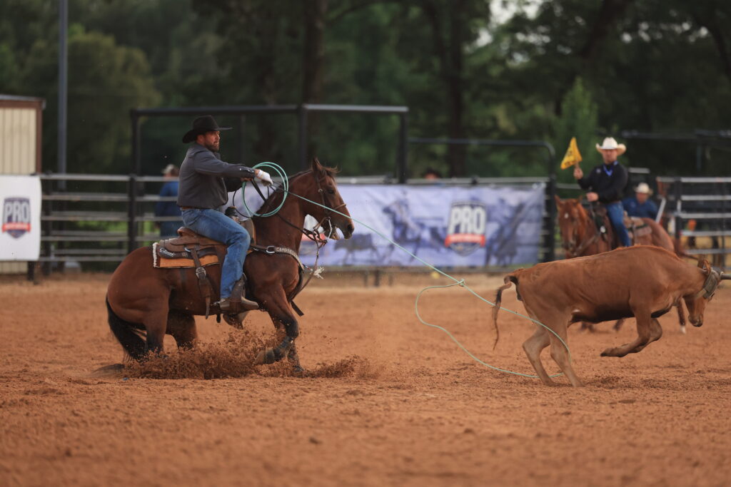 Roper on horseback swings lasso toward steer during team roping event at indoor rodeo arena