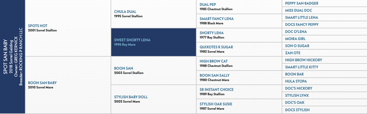 Five-generation pedigree chart for Spot San Baby, a 2018 sorrel gelding, listing sires and dams including Spots Hot and Boon San Baby