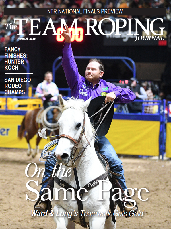 Team roper on white horse raises his fist in victory in arena at rodeo event