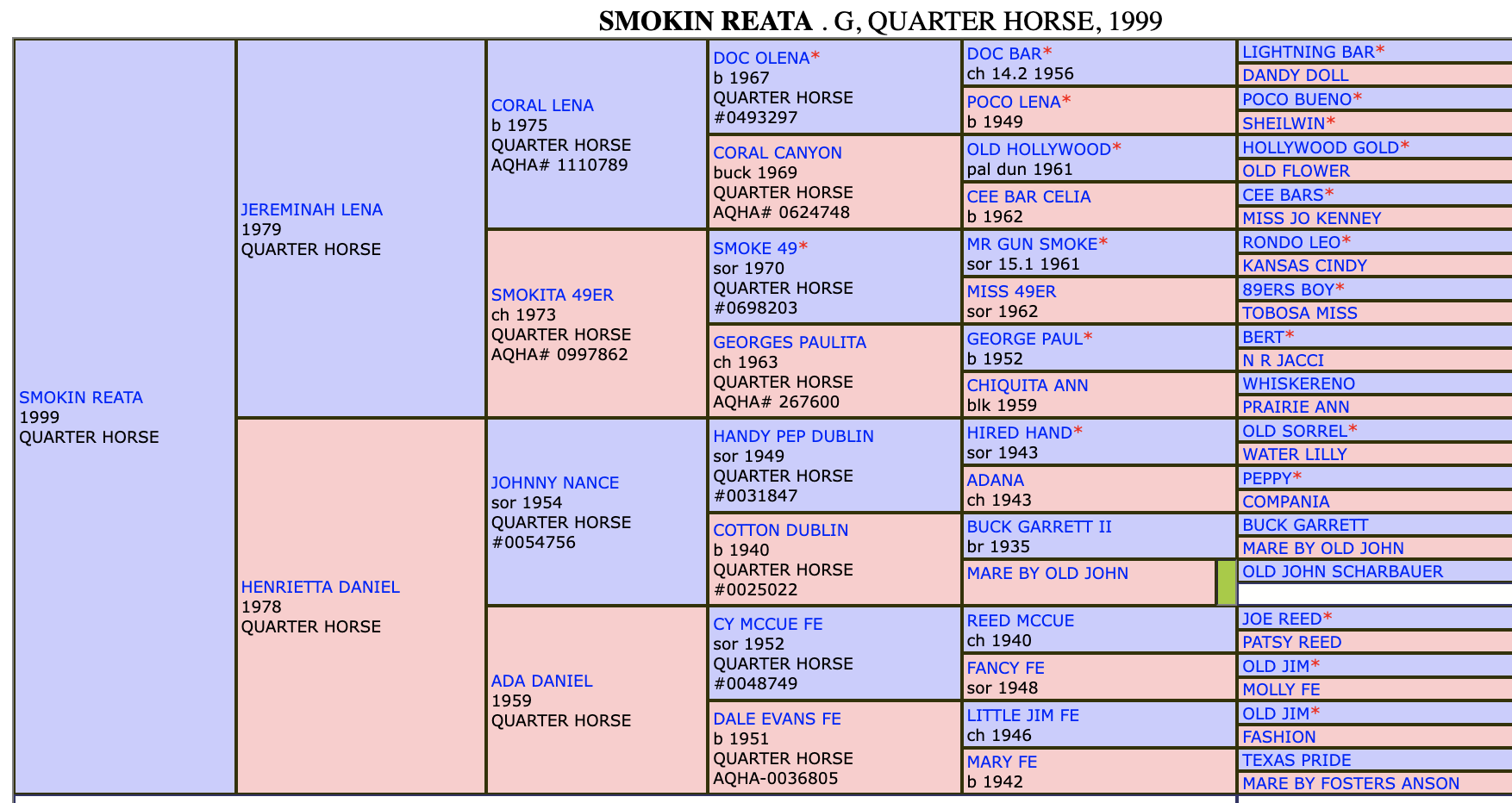 Smokin Reata Pedigree