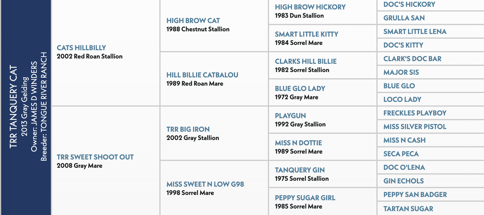 Five-generation pedigree chart for TRR Tanquery Cat, a 2013 gray gelding, listing sires and dams including High Brow Cat and Playgun