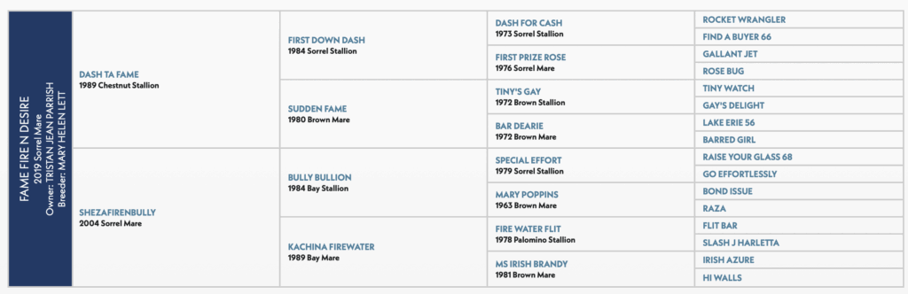 Fame Fire N Desire horse pedigree