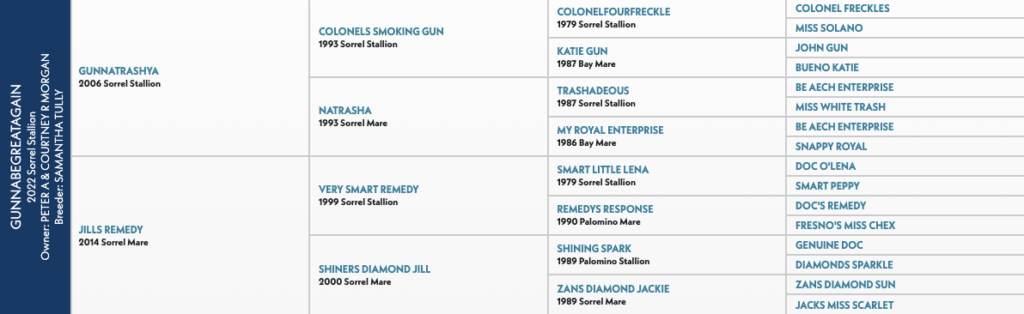 Five-generation pedigree chart for a 2022 sorrel stallion, tracing sire Gunnatrashya and dam Jills Remedy bloodlines