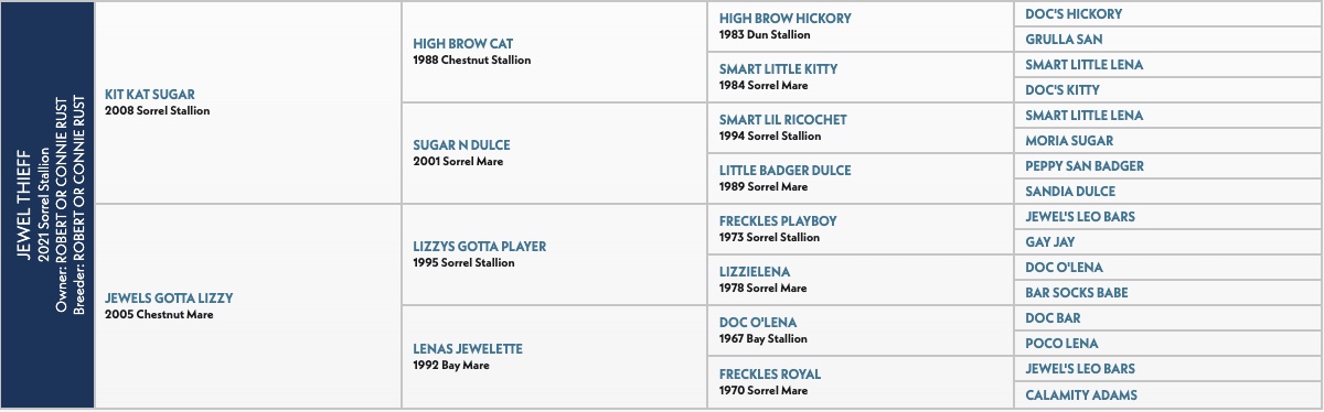 Five-generation pedigree chart for Jewel Thieff, a 2021 sorrel stallion by Kit Kat Sugar out of Jewels Gotta Lizzy