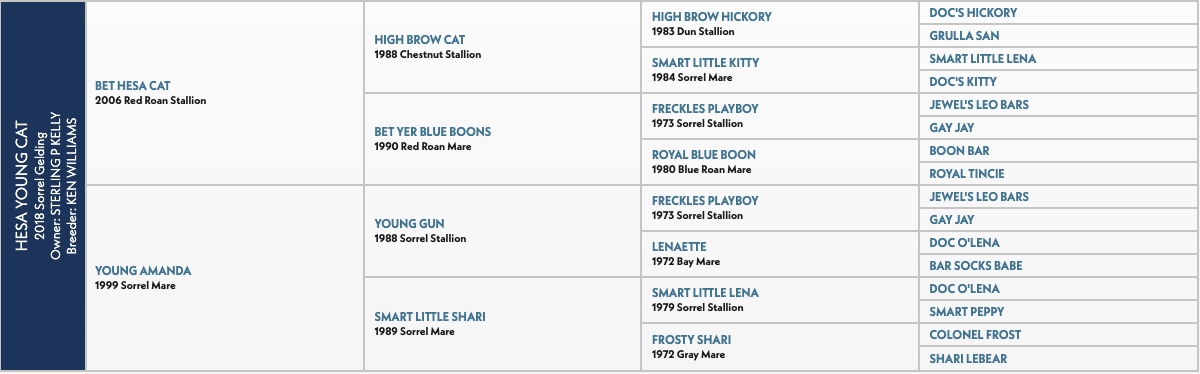 Five-generation pedigree chart for Hesa Young Cat, a 2018 sorrel gelding by Bet Hesa Cat out of Young Amanda