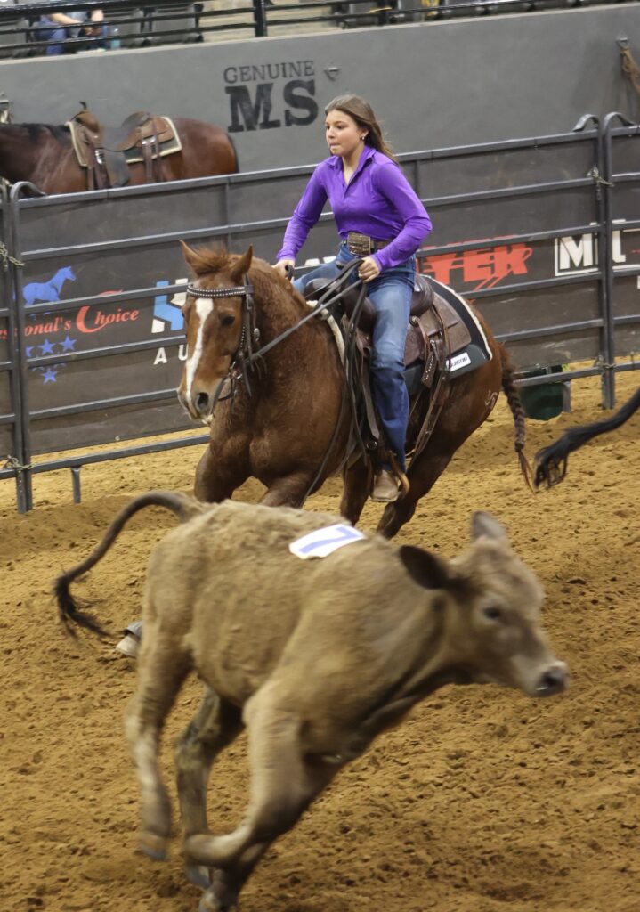 Young rider in a purple shirt works a numbered calf on a sorrel horse in an indoor arena