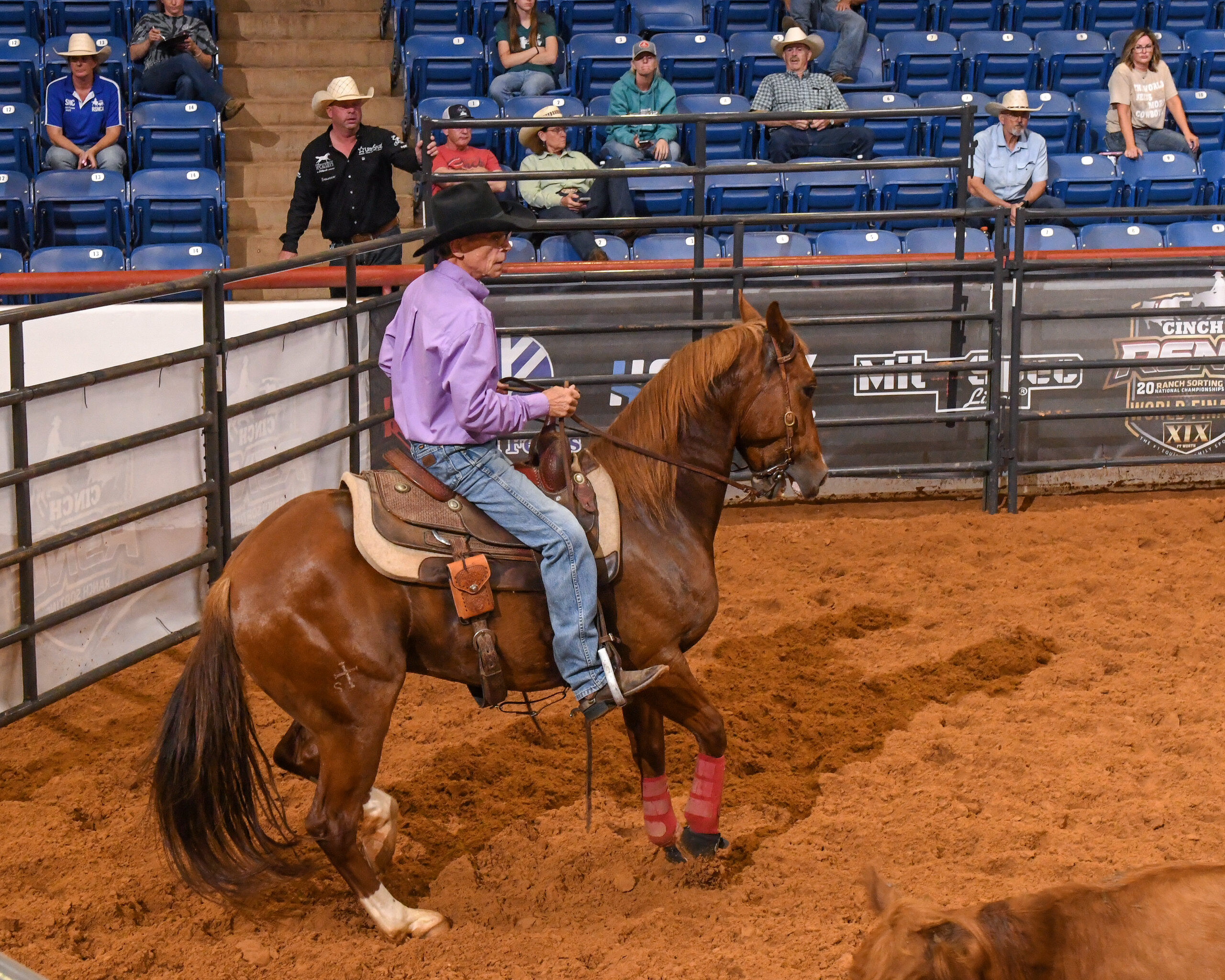 Cowboy in purple shirt and pink socks on bay horse in rodeo arena with spectators in bleachers