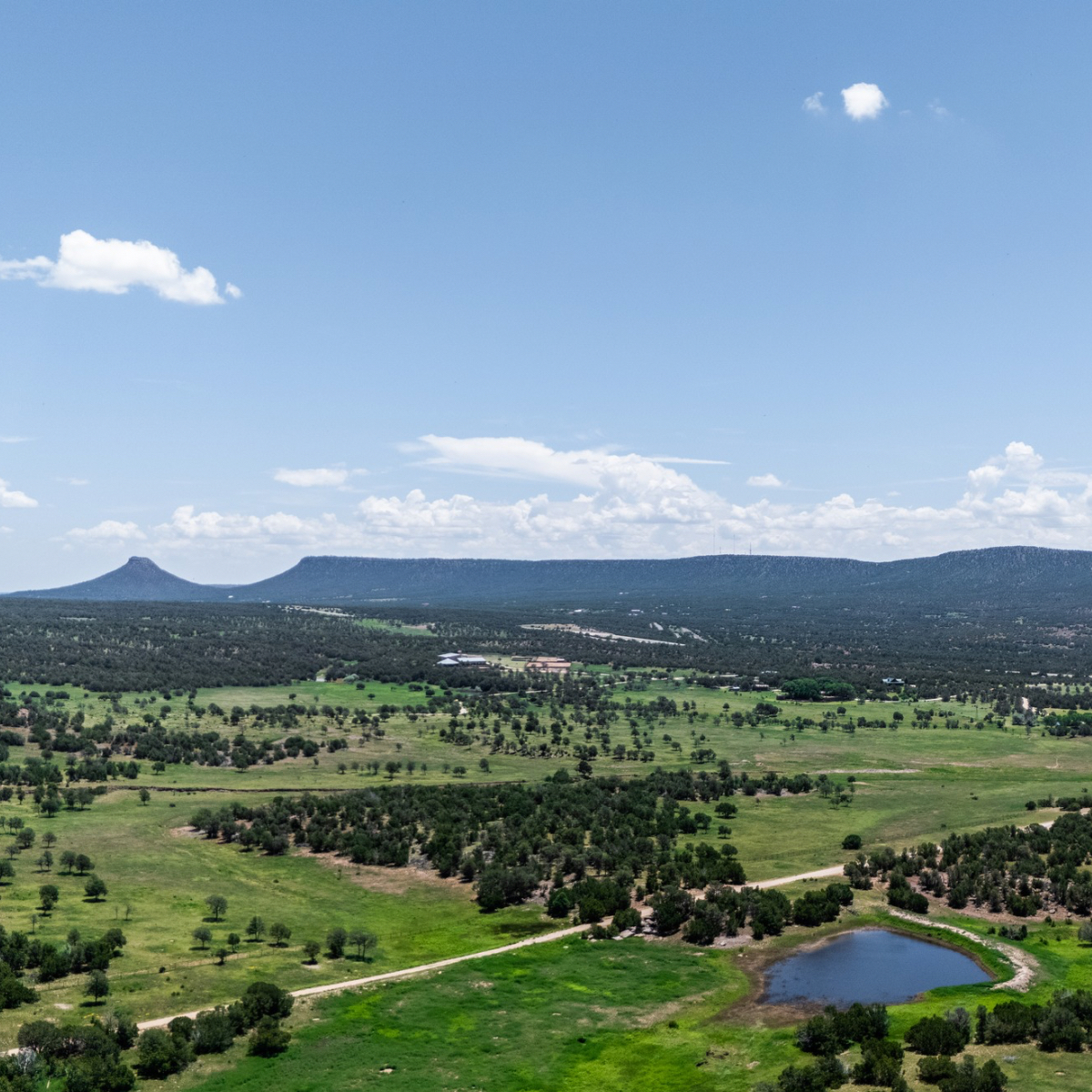Aerial view of a sprawling green valley with scattered trees, a small pond, winding roads, and distant plateaus under a blue sky with white clouds