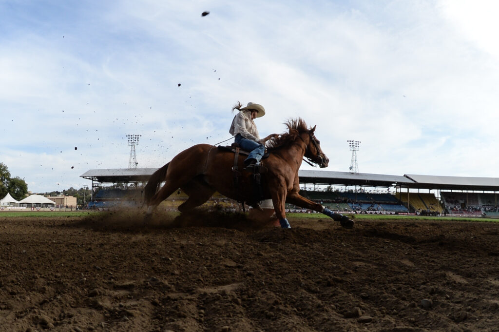 Kacey Gartner Pendleton barrel racing