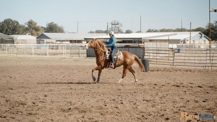 How the Square Drill Builds a More Accountable, Explosive Barrel Horse