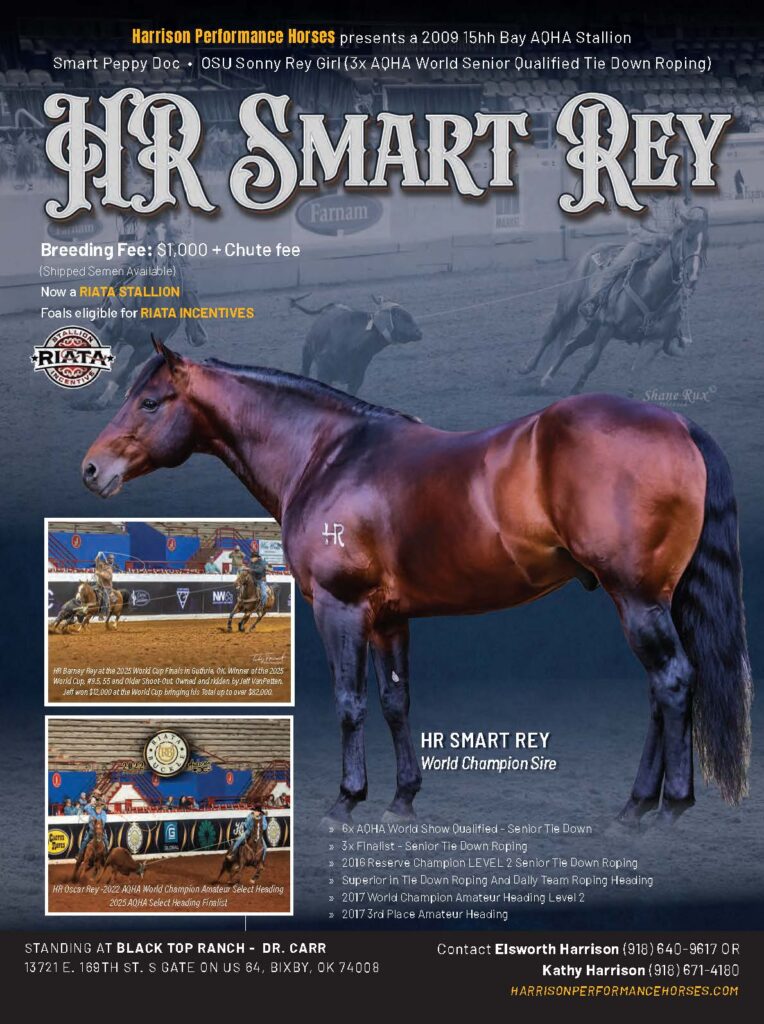 HR Smart Rey stallion advertisement featuring a bay horse in profile with breeding information and performance credentials for a 2009 AQHA stallion standing at Black Top Ranch in Oklahoma