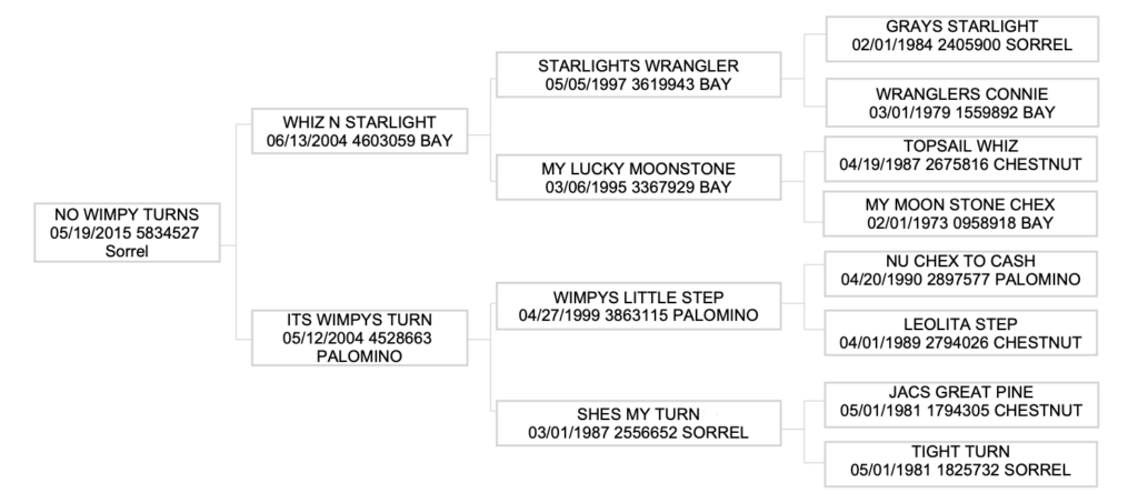 Three-generation pedigree chart for sorrel horse No Wimpy Turns, listing sires, dams, registration numbers and colors