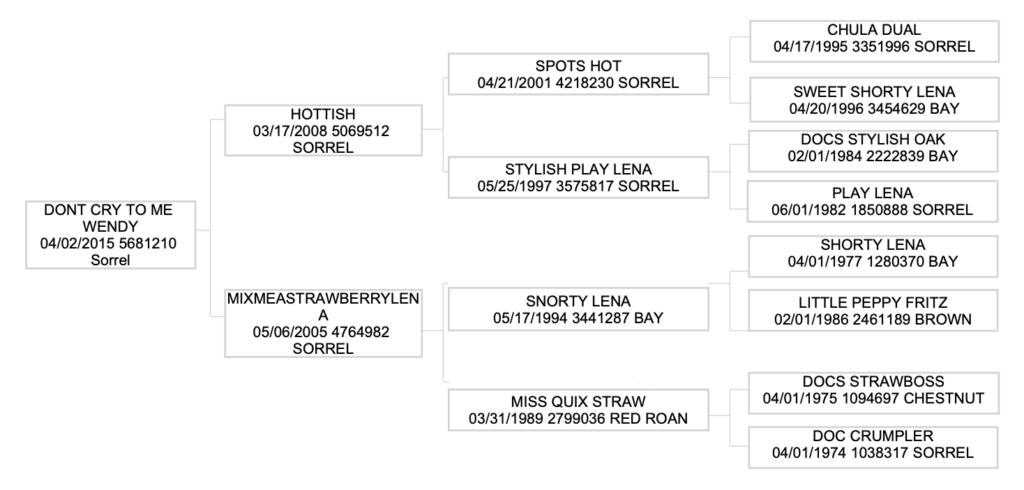 Three-generation pedigree chart for Dont Cry To Me Wendy, tracing sires Hottish and Spots Hot and dams Mixmeastrawberrylena and Snorty Lena