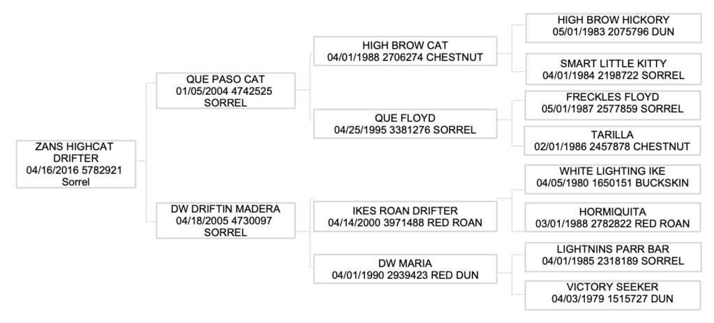 Three-generation pedigree chart for Zans Highcat Drifter tracing sires and dams back to High Brow Cat and Ikes Roan Drifter