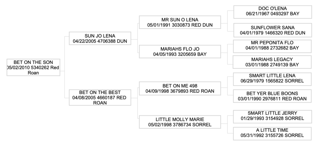 Three-generation pedigree chart for Bet On The Son, a 2010 red roan, listing sires and dams with foaling dates, registration numbers and colors