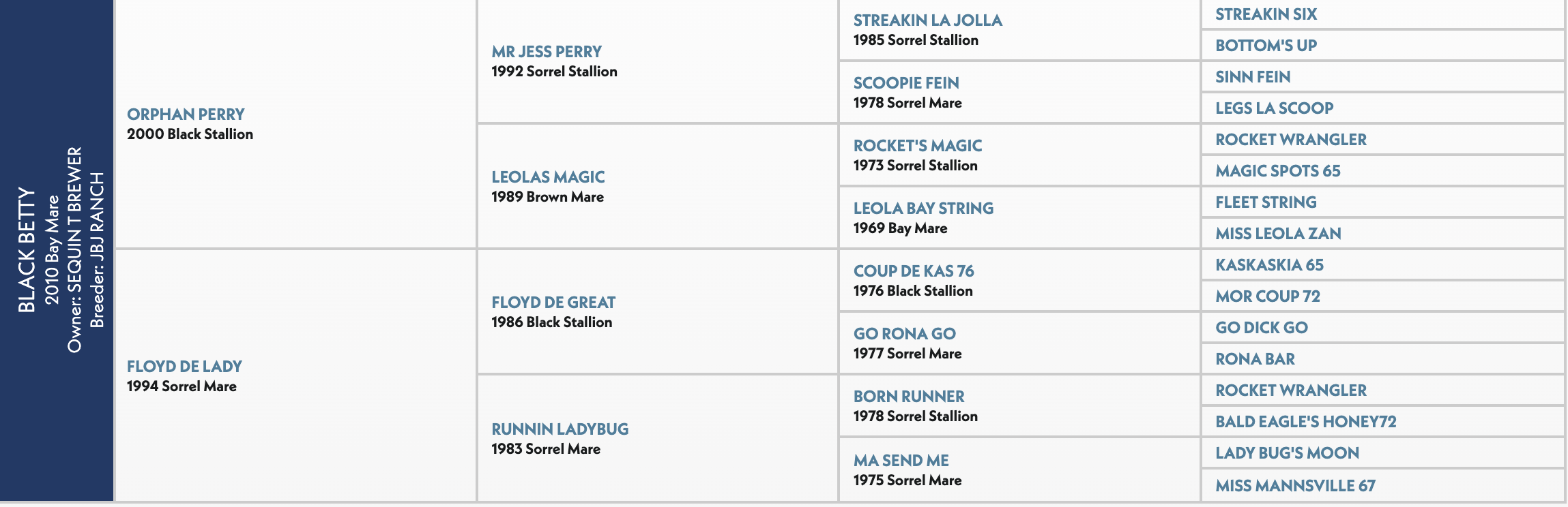 Five-generation pedigree chart for Black Betty, a 2010 bay mare by Orphan Perry out of Floyd De Lady