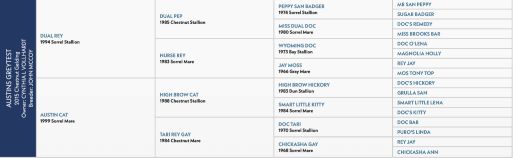 Five-generation pedigree chart for Austins Greytest, a 2015 chestnut gelding by Dual Rey out of Austin Cat