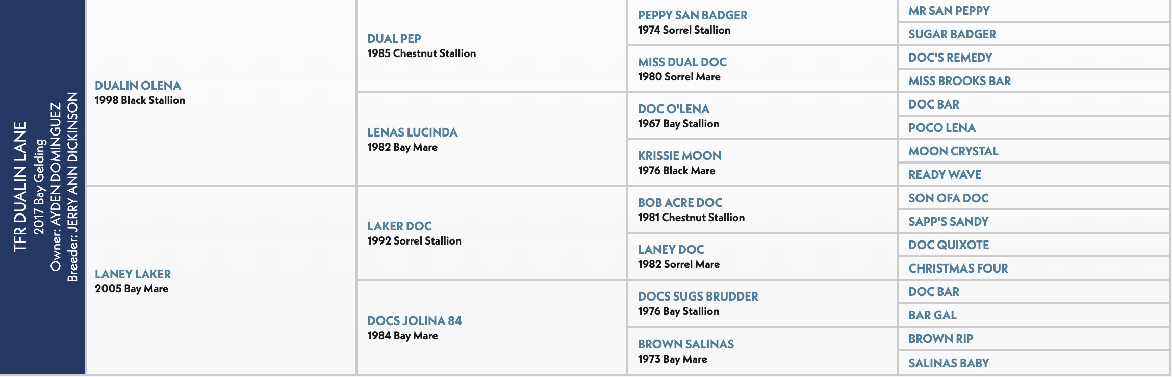 Five-generation pedigree chart for TFR Dualin Lane, a 2017 bay gelding by Dualin Olena out of Laney Laker
