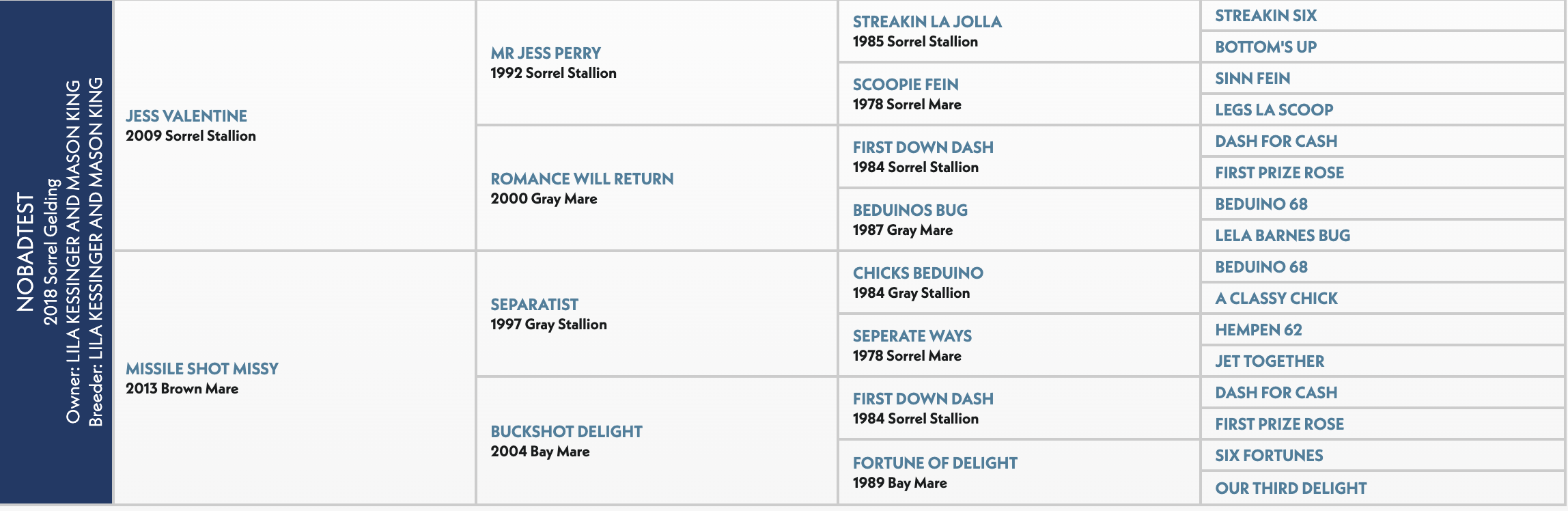Four-generation pedigree chart for Nobadtest, a 2018 sorrel gelding, listing sires and dams back to great-grandparents