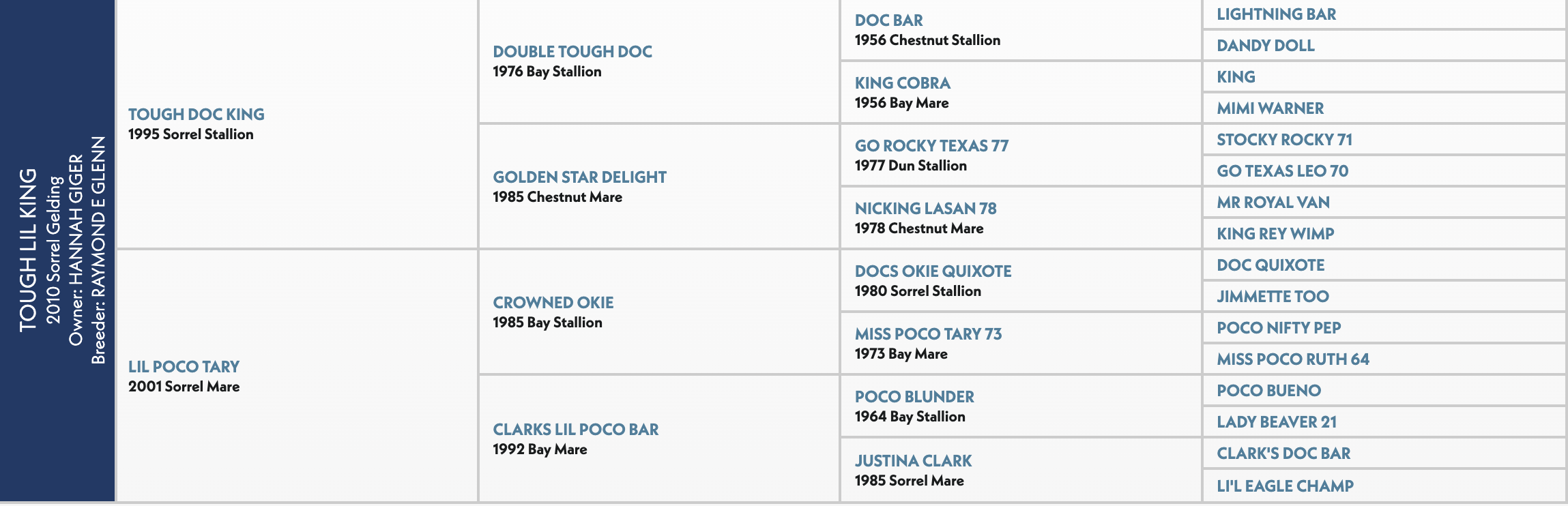 Five-generation pedigree chart for Tough Lil King, a 2010 sorrel gelding, listing sires and dams including Double Tough Doc and Doc Bar